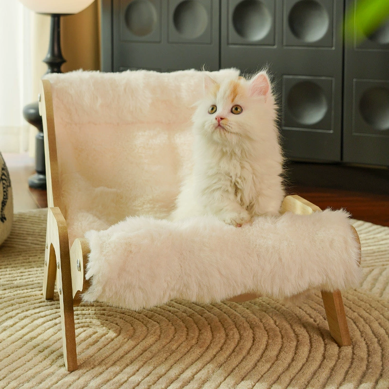 Кошачий сизаль не бросает кошачий логово