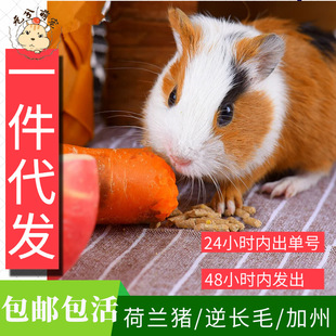 һ�����l���m�i��ë���������w��������m�ú��m������