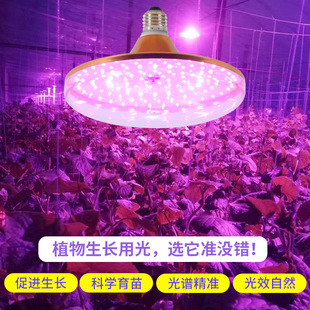 ˇ�����L��ledֲ���a���LED�m���a���80W50W����ˮ���߲��a���