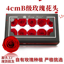 永生花玫瑰花头批发4cmB级10朵装diy手工批发材料高级感干花花材