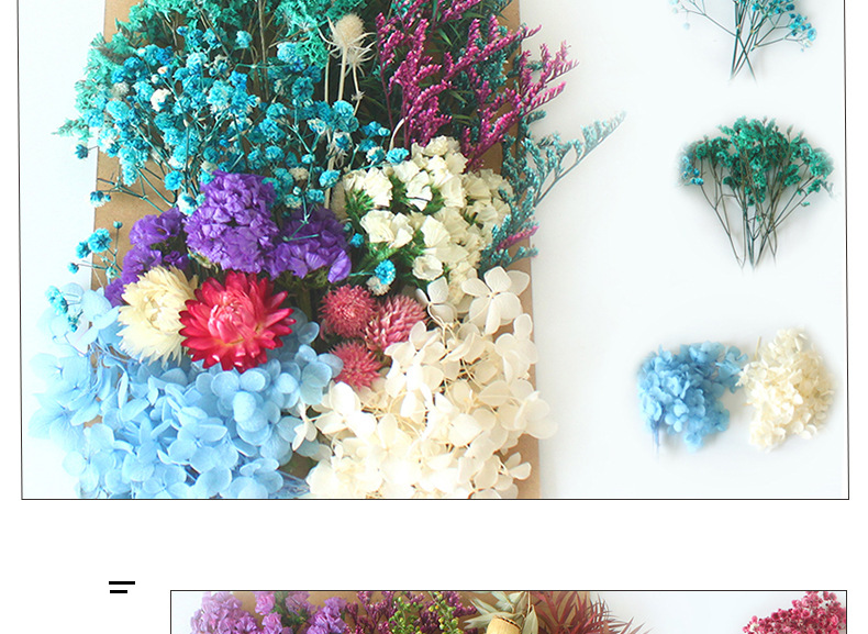 Pastoral Colorful Dried Flower Wedding Graduation Birthday Bouquet display picture 4