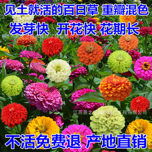 �ļ��׷N���ղݻ��N�Ӳ�˹�յ�·ͥԺ���վ������̨�����_������