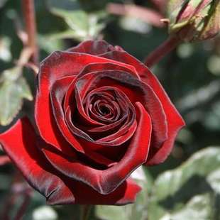 ��ħ�g�¼������ش󻨝����ļ��_�������̨����ͥԺ��tõ���ľ