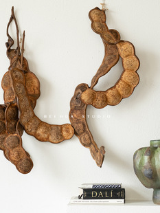 �^�����ޘ}���� �Ꭷ����ƽ�������v������ �Ӽ��̨�N�������b�