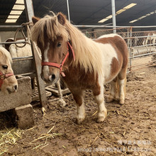 ���΅^���㰫�R�R��F���ﰫ�R�O���m���R���B�@�����R���R�r��