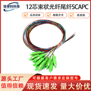12о����β�wSCAPC��ģ���w����ģ�K���B�Ӿ����w��48о���|���|