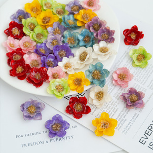 ��Ȼ�滨�ɻ����z�y⏻�Ⱦɫ�ֹ�diy��l��� �������Ʒ���