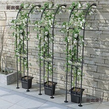 ���@��߅���T�����F��ɏͥԺ�¼����⻨�����Ѽ��̨��������̫��