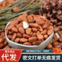 东北代发原味开口炒货