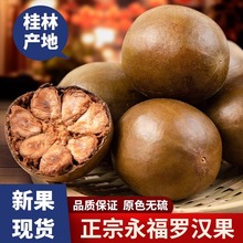 �_�h�������¹���Ʒ���|M�V�����������خa���l�������ݲ���