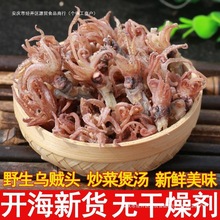 【净重】海兔头干3斤海鲜水产干货海产品海兔子笔管鱼乌贼头1斤