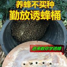 诱蜂桶蜜蜂箱黑色塑料养蜂诱蜂蜡野外引蜂招蜂水桶诱捕土蜂收蜂笼