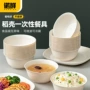 家用环保聚会野餐盘碟