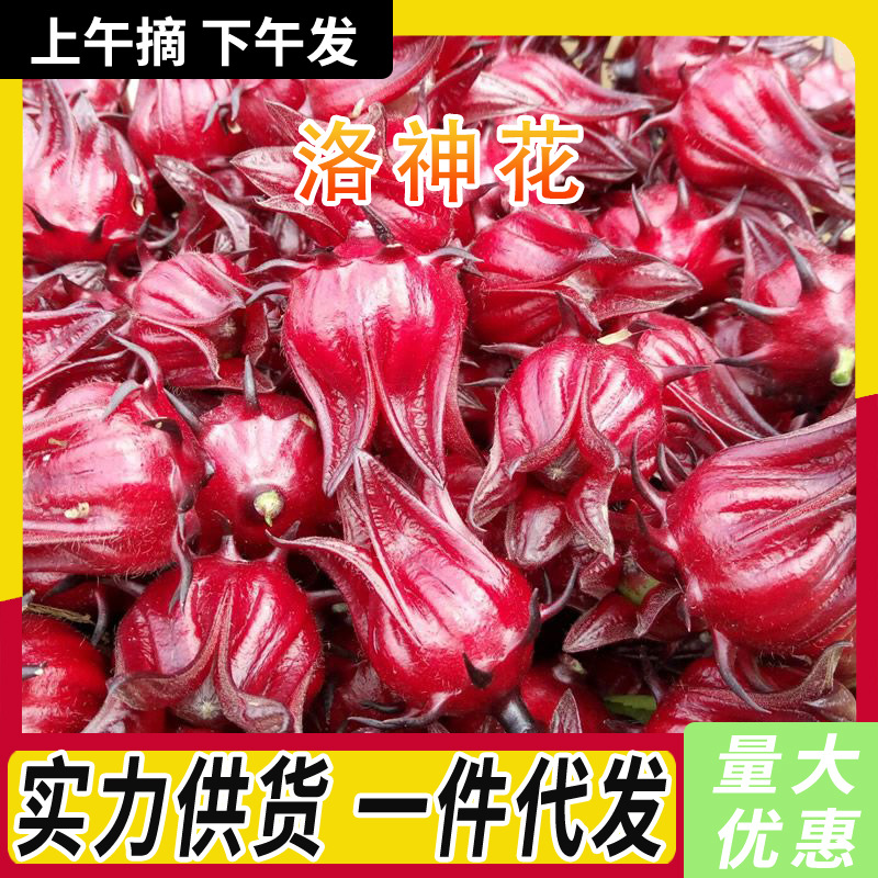 精选洛神花新鲜采摘1-5斤大朵玫瑰茄整箱现摘现发整朵可泡水泡茶