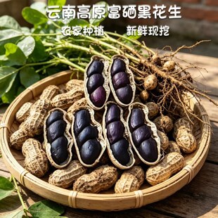��Ϻڻ��������i�r���ʾo���ڸз�Ŵ��Ȼ�I�B�S��������ʳ�ÈԹ�
