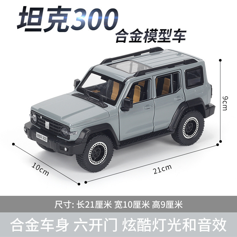 1: 24 tanque 300 gris