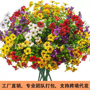 �羳���滨7���ȼ������_�mֲ����컨�����҃��b[���ҾGֲ