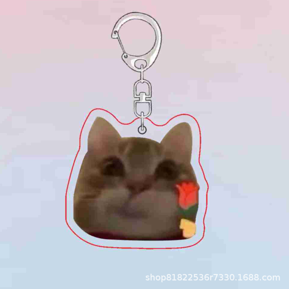 투약 고양이 B6670