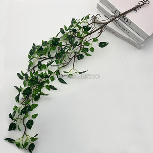 Rattan wall hanging plant wall ceiling courtyard landscaping decoration wall hanging vine simulation green leaves