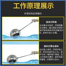 4分 开水器浮球阀 蒸饭机 进水阀门开关 水箱浮球 不锈钢球阀配件