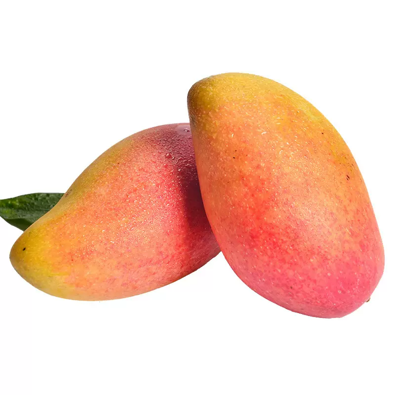 加工定制海南贵妃芒 新鲜香甜多汁热带水果皮薄肉厚果园现摘批发