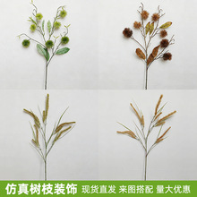 ���������֦�҃ȿ͏d�̈��쾰�ٻ���β��ɭϵ�Ҿ��b����֦�l