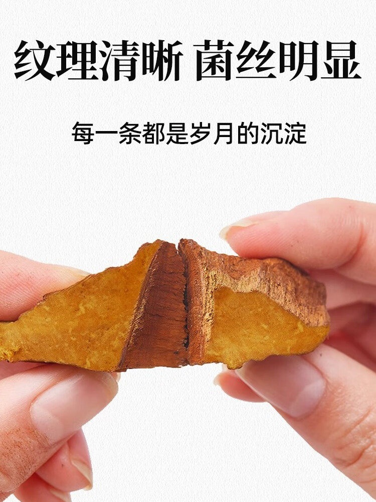 Sang Huang Dried Phellinus Mushroom Premium Tibet Grade Tea Herb 375g Set key features