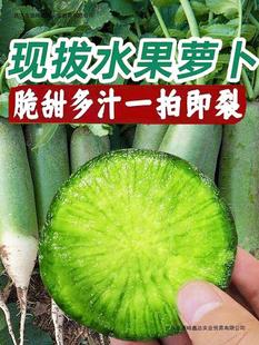 ˮ���}������͞H���}�����r10�����}�H�hɳ�C�F�ξG�}������