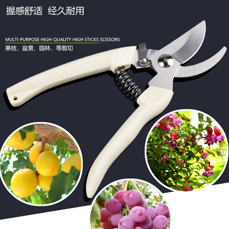 Pruning garden scissors, gardening scissors, fruit tree picking, flower art, bonsai fruit branch scissors, garden tool scissors wholesale