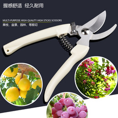 Pruning garden scissors, gardening scissors, fruit tree picking, flower art, bonsai fruit branch scissors, garden tool scissors wholesale