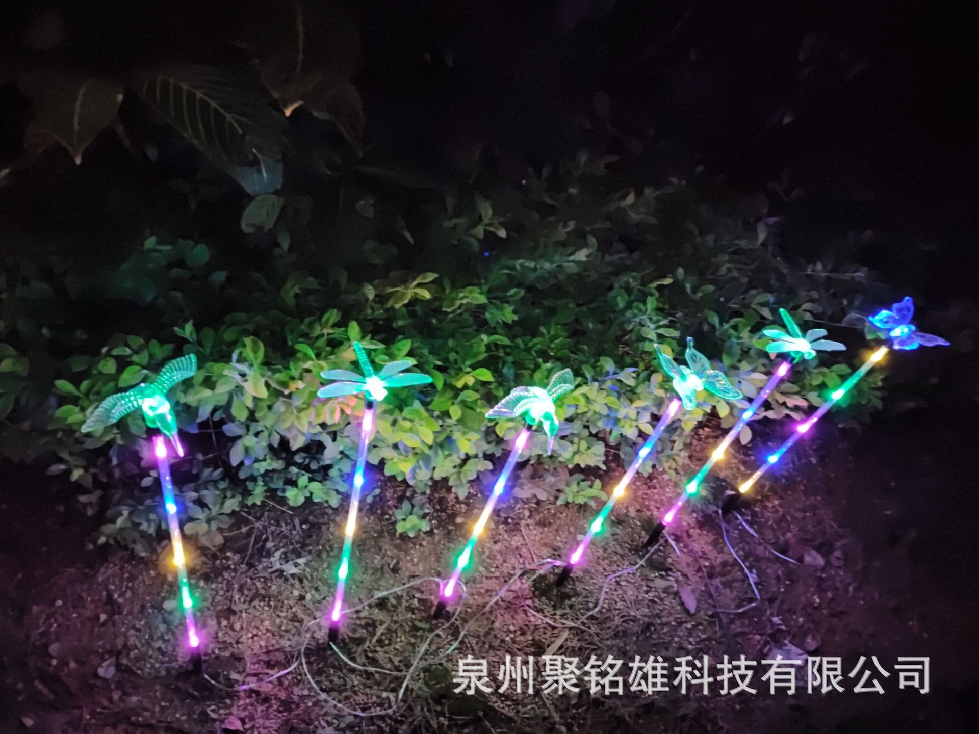 微信图片_20230630091739