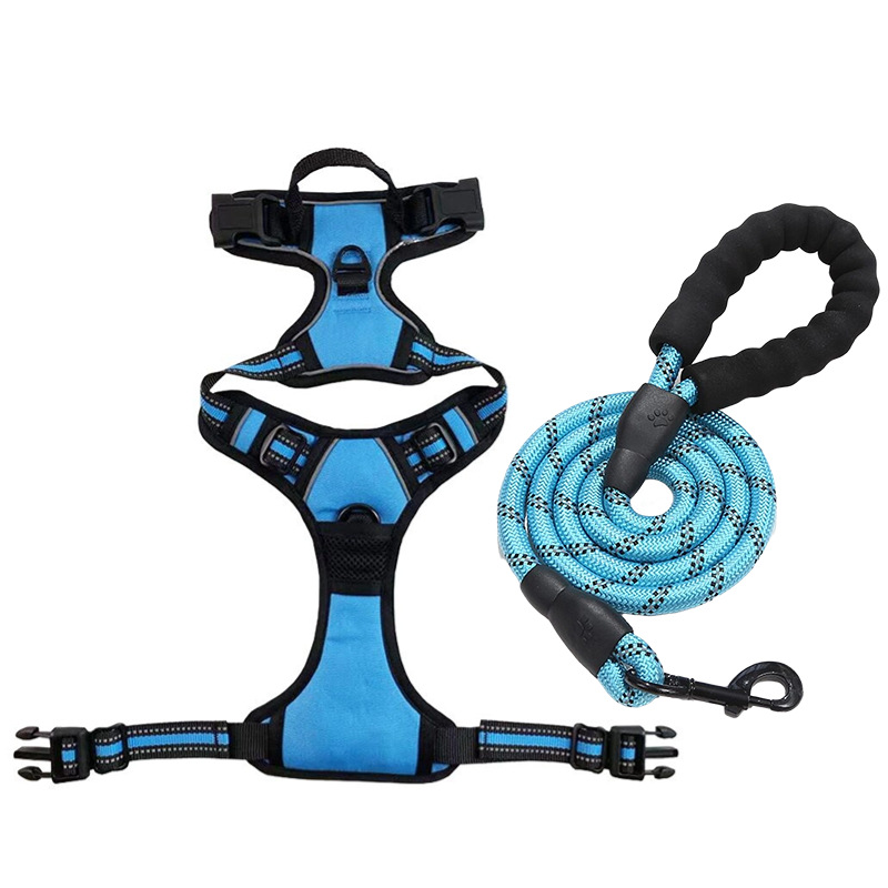 Sky blue [strap + traction rope] set