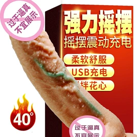 飞机杯;震动棒;仿真阳具