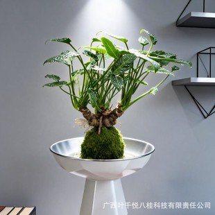 �~ǧ�~С��ʹ̦�\��W�tС��������ʽ�U����B