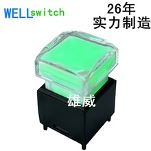 15x15_P ҕl̎I ̨ȫ͸ⰴo λ_P