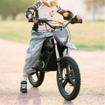 Negotiable wholesale Apollo RFN War Doll SX-E 40kg off-road electric motorcycle for ages 5-8 to ride