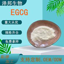 EGCG 98%�G����ȡ���]ʳ�Ӄ����؛]ʳ�������F؛���]100g/��