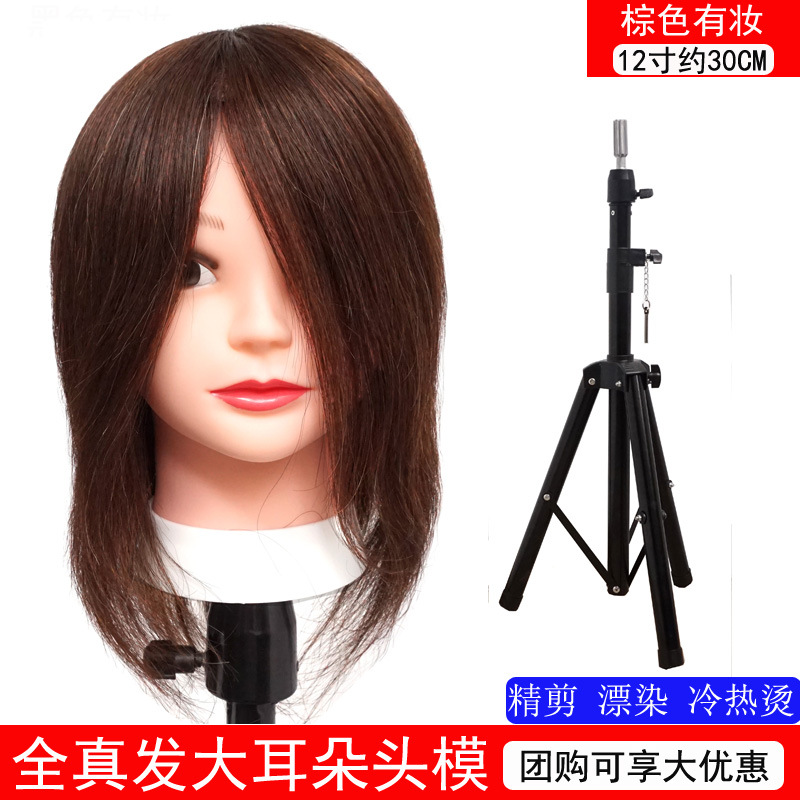 Todo cabello verdadero 12 pulgadas marrón + gran soporte de suelo