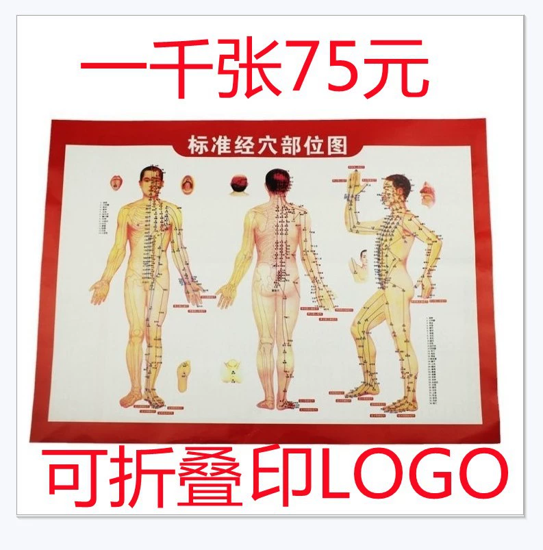 Прижигание Терапия книга Рисование баночный соскабливающий массаж HD версия прижигание рисунок прижигание тела Меридиан Акупунктура карта