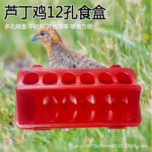 芦丁鸡喂料器20厘米12孔放撒料多孔喂食育雏小鸡鸽子采食下料器