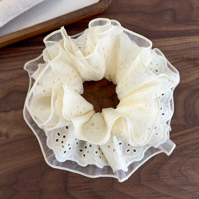 20250308-2025_03_08_16_13_IMG_