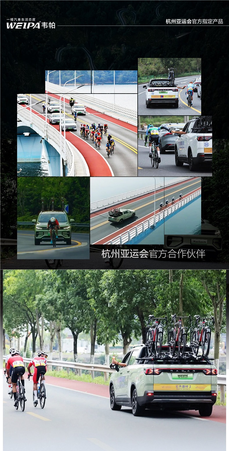 Weipa Car Roof Bicycle Rack, Foldable and Flat, Car-Mounted Suv Mountain Bike Rack, Fixed Luggage Rack