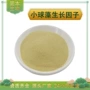 水溶因子生长od1200提取物