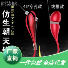 45���M�ڳ����h���y�����Ư�a�~�hҰួ�Ϧ���������U�^�hɢ�b