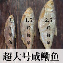 ��1~3��/�l���ش�̖�����~���ư��[��ù�����~���~��؛ɽ�|�خa