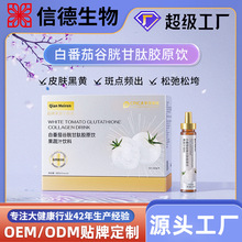 私域产品不挂网PQQ白番茄胶原蛋白口服液 小分子肽鱼胶原蛋白美饮