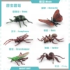 BL-10036 6 types of insect set 48g