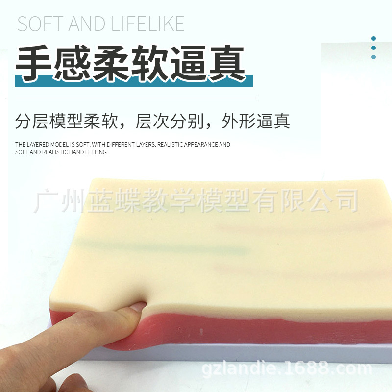 �๦��Ƥ������ע����ϰģ�� Ƥ��Ѫ�ܶ�����Һ ���⴩��ѵ��ģ��