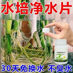Flower Preservation and Disinfection Tablets, Hydroponic Plant Water Purification Tablets, Rich Bamboo Bowl Lotus Water Purification and Preservation Flower Preservative