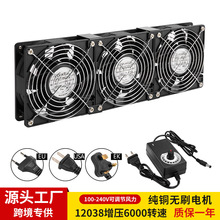 Sֱ12CM댧wɢɢC{@ˮL